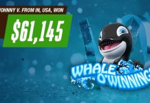 Café Casino Player Hits $61K Jackpot On Whale O’ Winnings Cafe Casino Whale-O-winnings