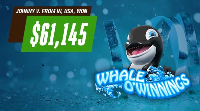 Café Casino Player Hits $61K Jackpot On Whale O’ Winnings Cafe Casino Whale-O-winnings