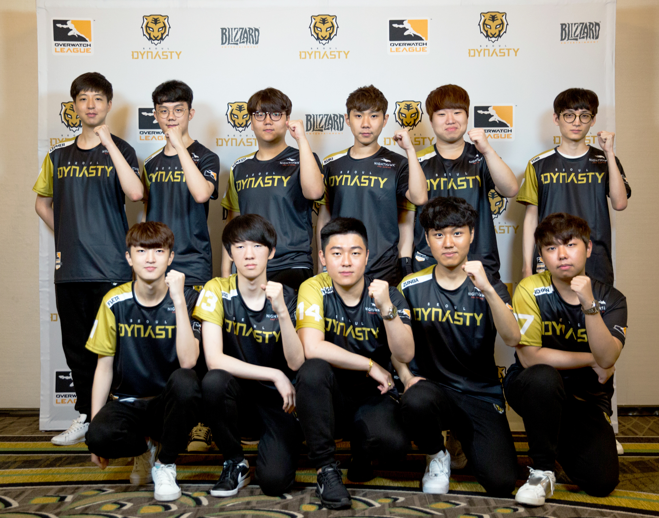 Overwatch Seoul Dynasty Team